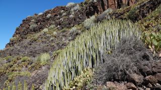 2022-04-GranCan-Agaete-Trekking_view-PM-NN-043.JPG